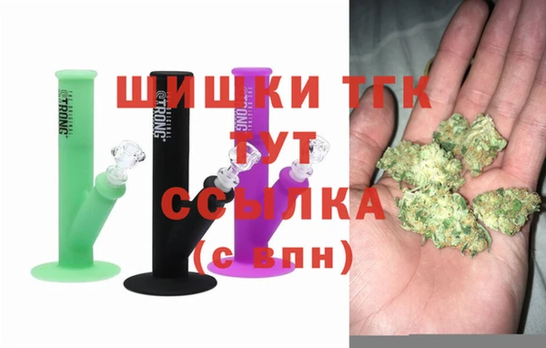 хмурый Ельня